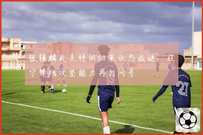 张镇麟赴美特训归来状态成谜，辽宁锋线攻坚能力再打问号