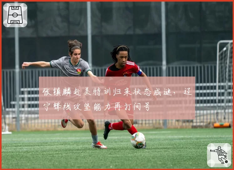 张镇麟赴美特训归来状态成谜，辽宁锋线攻坚能力再打问号