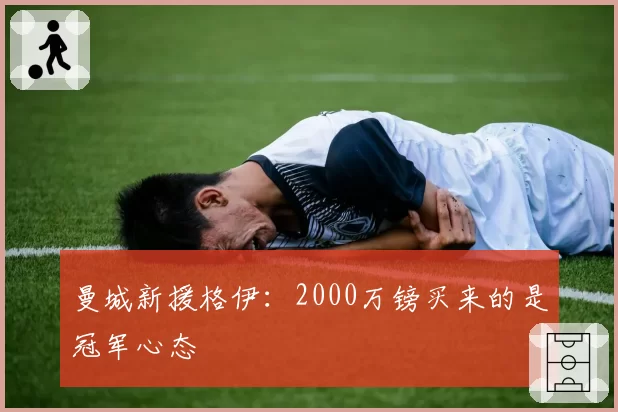 曼城新援格伊：2000万镑买来的是冠军心态