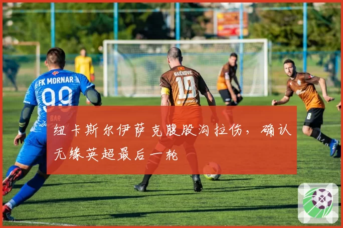 纽卡斯尔伊萨克腹股沟拉伤，确认无缘英超最后一轮