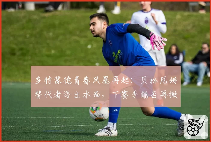 多特蒙德青春风暴再起：贝林厄姆替代者浮出水面，下赛季能否再掀波澜？